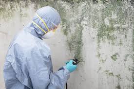 Best Water Damage & Mold Remediation  in Campbellsville, KY